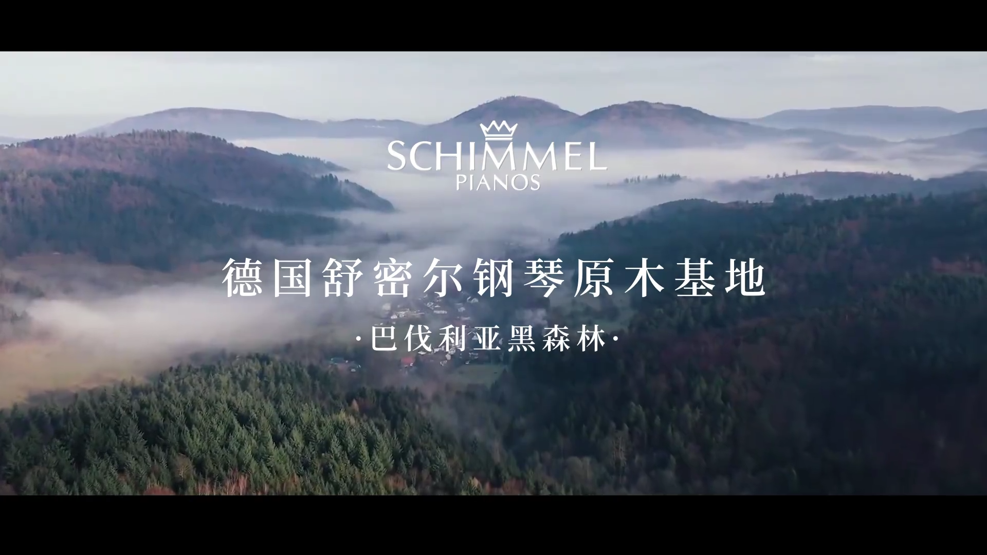 SCHIMMEL鋼琴音板|源自黑森林的和鳴 盡顯剛?cè)岵?jì)之美