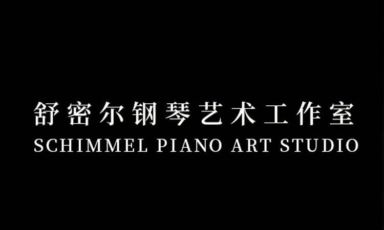 鋼琴藝術(shù)工作室